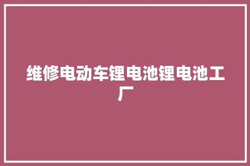 维修电动车锂电池锂电池工厂