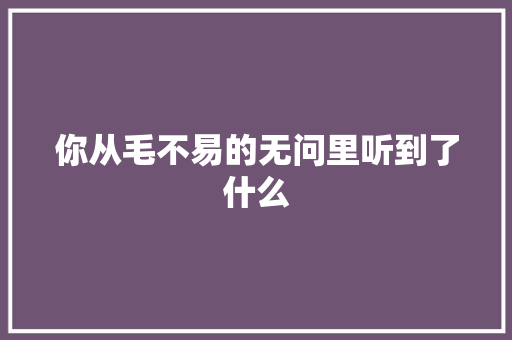 你从毛不易的无问里听到了什么