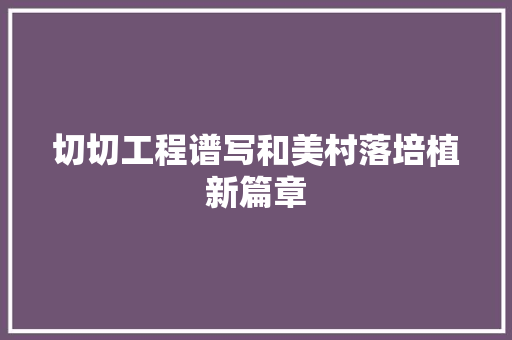 切切工程谱写和美村落培植新篇章