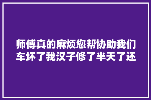 师傅真的麻烦您帮协助我们车坏了我汉子修了半天了还没修好