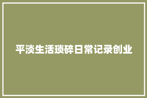 平淡生活琐碎日常记录创业