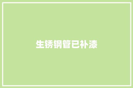 生锈钢管已补漆