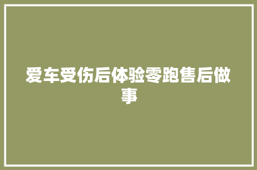 爱车受伤后体验零跑售后做事