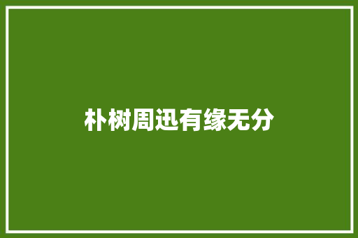 朴树周迅有缘无分