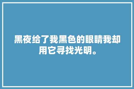 黑夜给了我黑色的眼睛我却用它寻找光明。