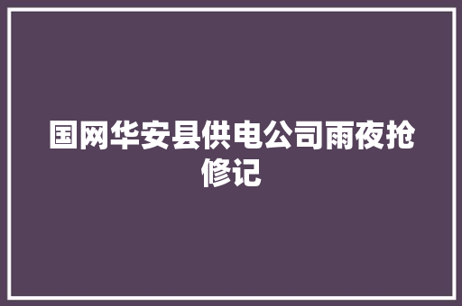 国网华安县供电公司雨夜抢修记