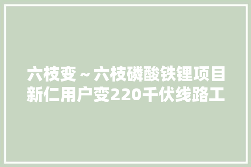 六枝变～六枝磷酸铁锂项目新仁用户变220千伏线路工程投运