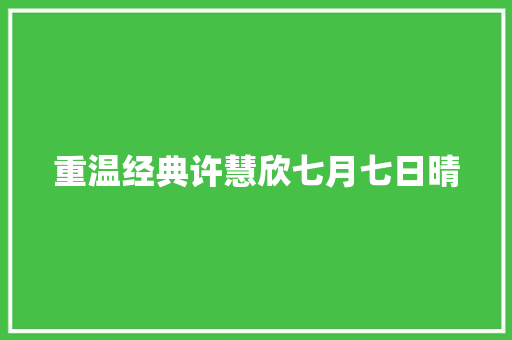 重温经典许慧欣七月七日晴