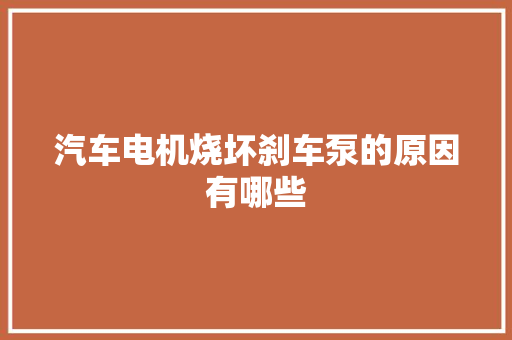 汽车电机烧坏刹车泵的原因有哪些