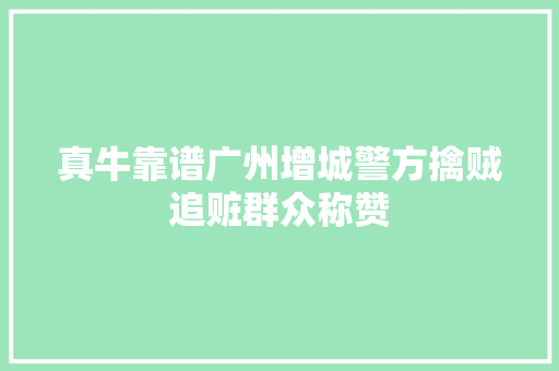 真牛靠谱广州增城警方擒贼追赃群众称赞