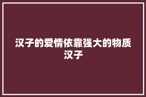汉子的爱情依靠强大的物质汉子