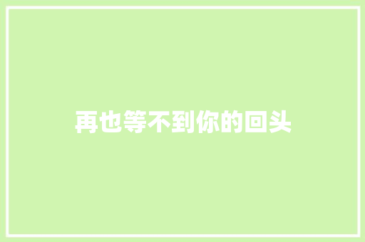 再也等不到你的回头