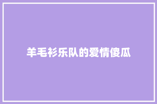 羊毛衫乐队的爱情傻瓜