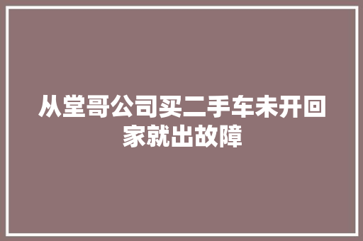 从堂哥公司买二手车未开回家就出故障