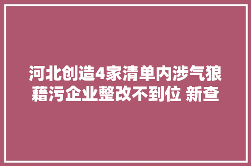 河北创造4家清单内涉气狼藉污企业整改不到位 新查出1家清单外涉气狼藉污企业