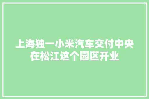上海独一小米汽车交付中央在松江这个园区开业