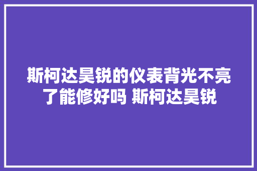 斯柯达昊锐的仪表背光不亮了能修好吗 斯柯达昊锐