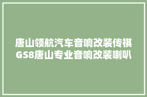 唐山领航汽车音响改装传祺GS8唐山专业音响改装喇叭套装四门隔音