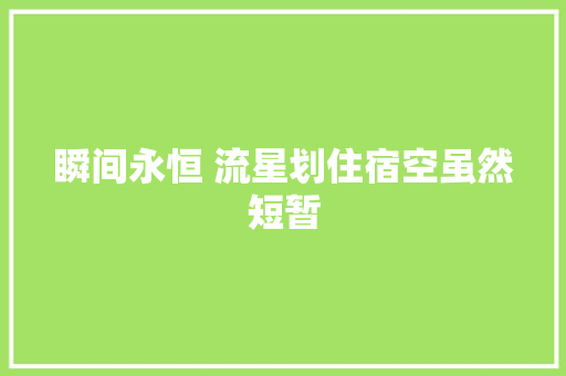 瞬间永恒 流星划住宿空虽然短暂
