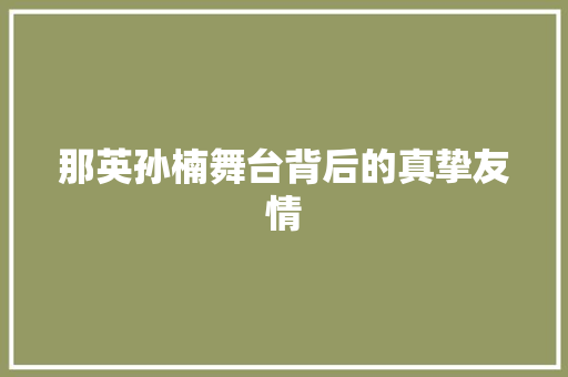 那英孙楠舞台背后的真挚友情