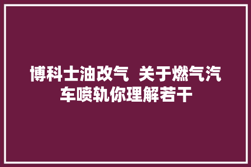 博科士油改气  关于燃气汽车喷轨你理解若干