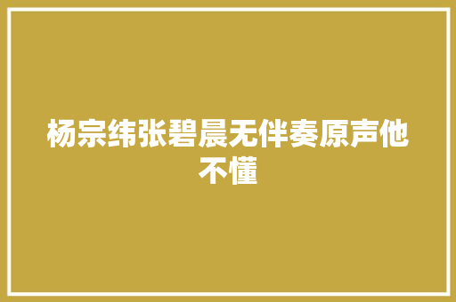 杨宗纬张碧晨无伴奏原声他不懂