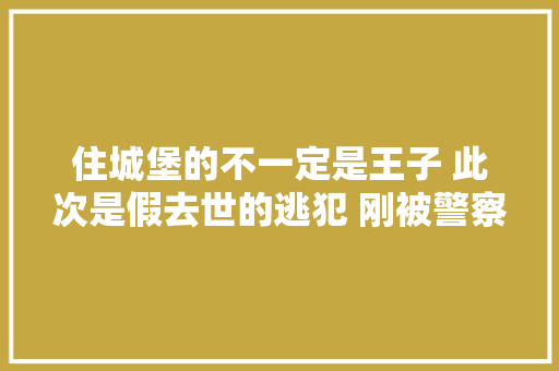 住城堡的不一定是王子 此次是假去世的逃犯 刚被警察抓了