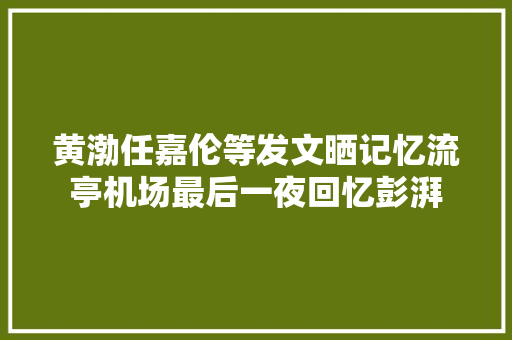黄渤任嘉伦等发文晒记忆流亭机场最后一夜回忆彭湃