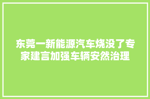 东莞一新能源汽车烧没了专家建言加强车辆安然治理