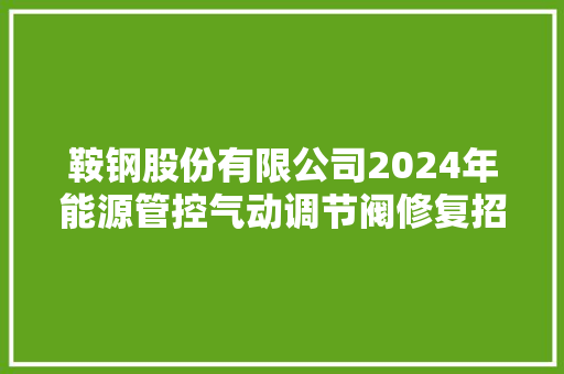 鞍钢股份有限公司2024年能源管控气动调节阀修复招标