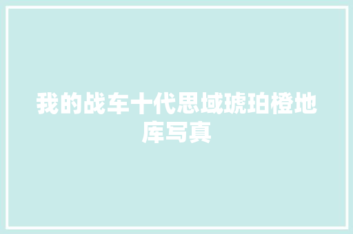 我的战车十代思域琥珀橙地库写真