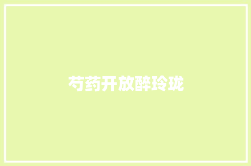 芍药开放醉玲珑