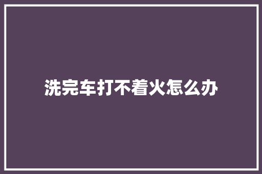 洗完车打不着火怎么办