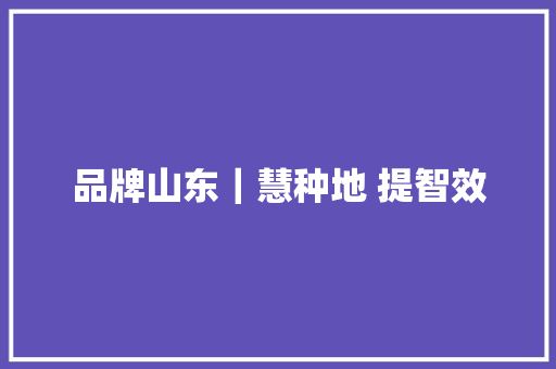 品牌山东｜慧种地 提智效