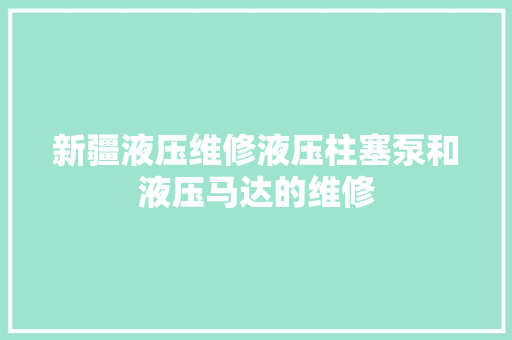 新疆液压维修液压柱塞泵和液压马达的维修