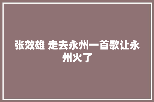 张效雄 走去永州一首歌让永州火了