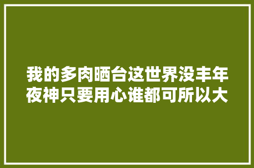 我的多肉晒台这世界没丰年夜神只要用心谁都可所以大年夜神