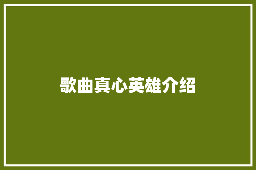 歌曲真心英雄介绍 休闲娱乐