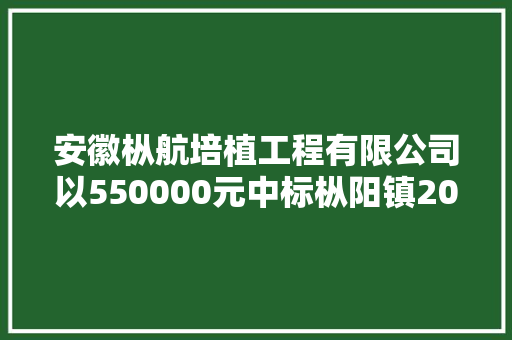 安徽枞航培植工程有限公司以550000元中标枞阳镇2024年城市危旧房改造工程