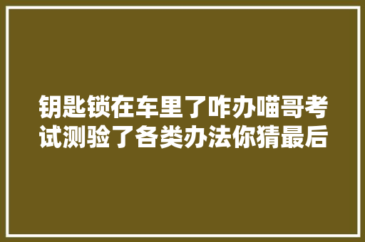 钥匙锁在车里了咋办喵哥考试测验了各类办法你猜最后打开没有