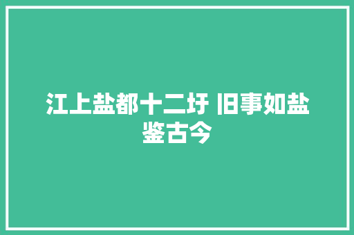 江上盐都十二圩 旧事如盐鉴古今