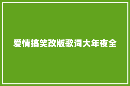 爱情搞笑改版歌词大年夜全
