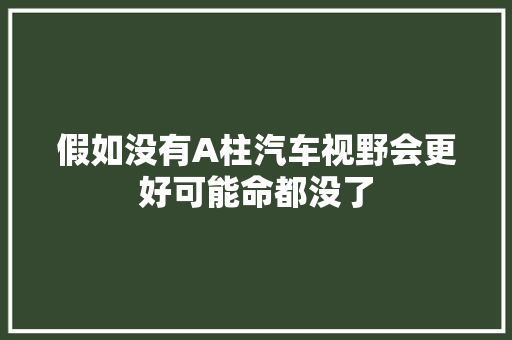 假如没有A柱汽车视野会更好可能命都没了