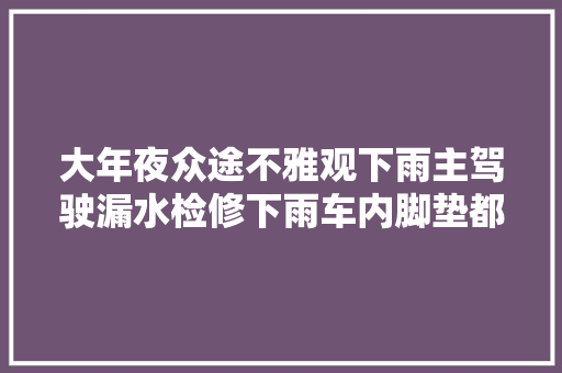 大年夜众途不雅观下雨主驾驶漏水检修下雨车内脚垫都是水修车