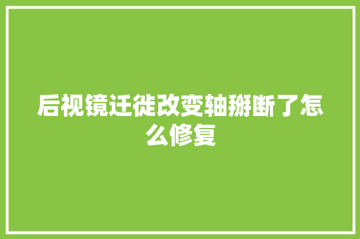 后视镜迁徙改变轴掰断了怎么修复