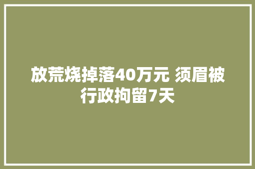 放荒烧掉落40万元 须眉被行政拘留7天