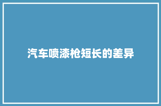 汽车喷漆枪短长的差异