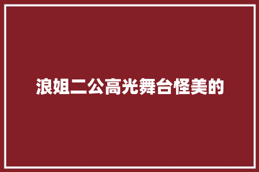 浪姐二公高光舞台怪美的
