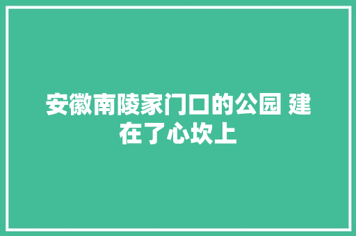 安徽南陵家门口的公园 建在了心坎上