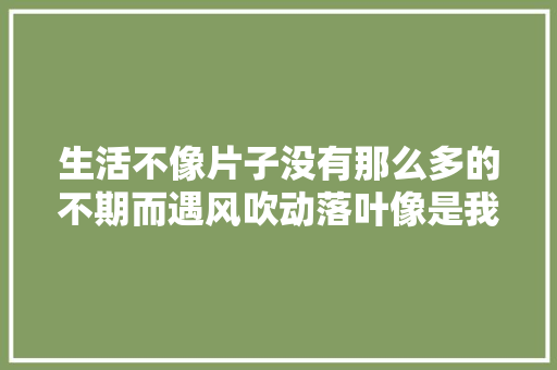 生活不像片子没有那么多的不期而遇风吹动落叶像是我们曾经来过